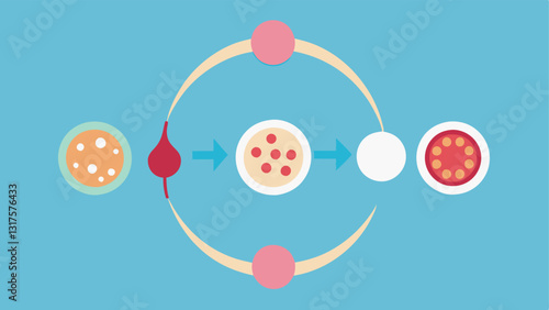 Skin Regeneration Process A visual loop or cycle depicting the regeneration process of skin cells stimulated by nanotechnology showing renewal and tightening over time.