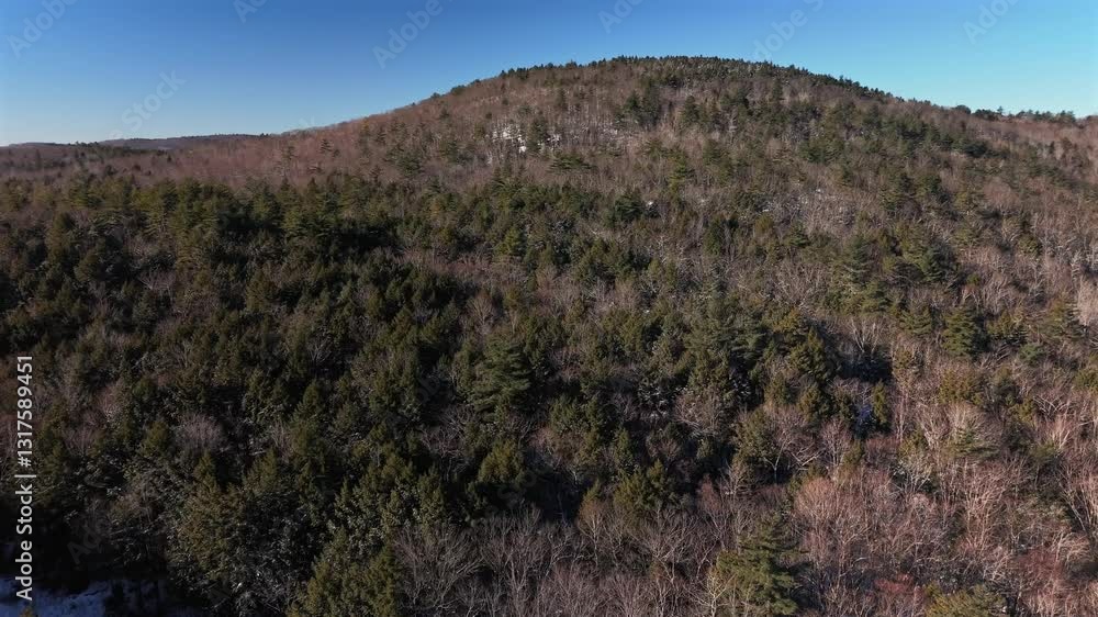 Fly across the New Hampshire forest scene during winter season Fly across the New Hampshire forest scene during winter season