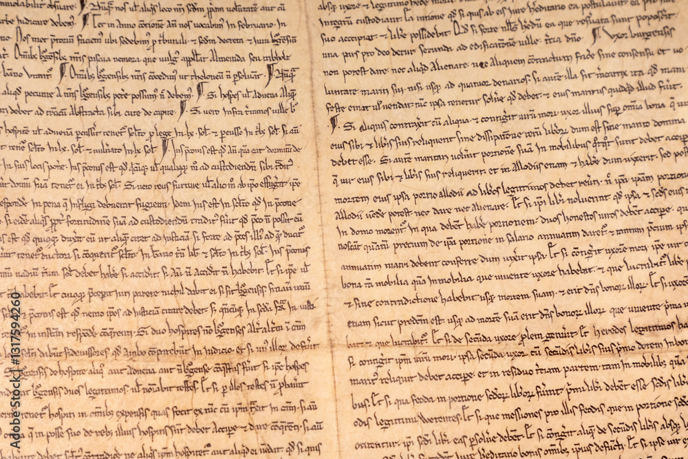 Obraz premium Medieval manuscript written in German