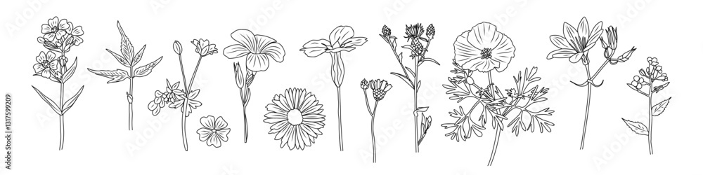 Obraz premium Set of tiny wild flowers and plants line art vector botanical illustrations. Trendy greenery hand drawn black ink sketches collection. Modern design for logo, tattoo, wall art, branding and packaging.