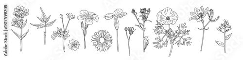 Wallpaper Mural Set of tiny wild flowers and plants line art vector botanical illustrations. Trendy greenery hand drawn black ink sketches collection. Modern design for logo, tattoo, wall art, branding and packaging. Torontodigital.ca