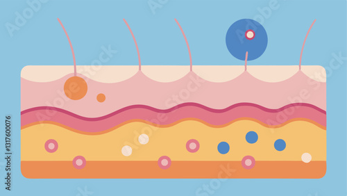 Skin CrossSection A crosssection of skin layers highlighting healthy collagen production in the dermis with small nanotech devices moving towards fibroblast cells to enhance