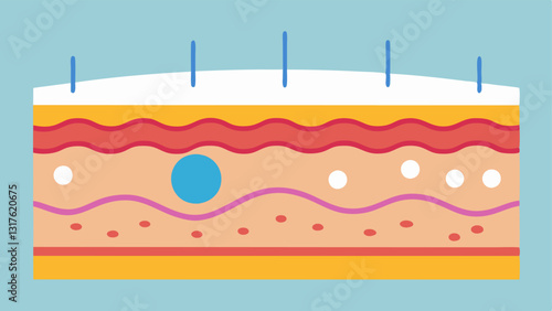 Skin Layers A crosssection of skin layers showcasing laser tration and exosomes at work in the dermis demonstrating cellular rejuvenation and hydration.