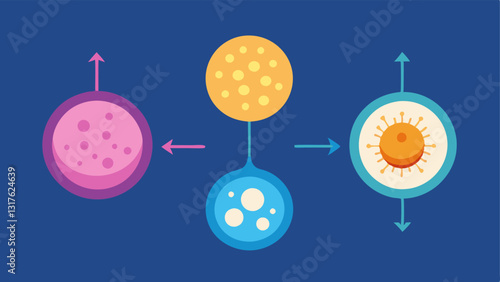 Skin Cell Renewal Show a sidebyside comparison of aging skin cells and rejuvenated cells with exosomes and peptides depicted as glowing particles enhancing the rejuvenation