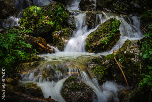 small waterfall in the forest
