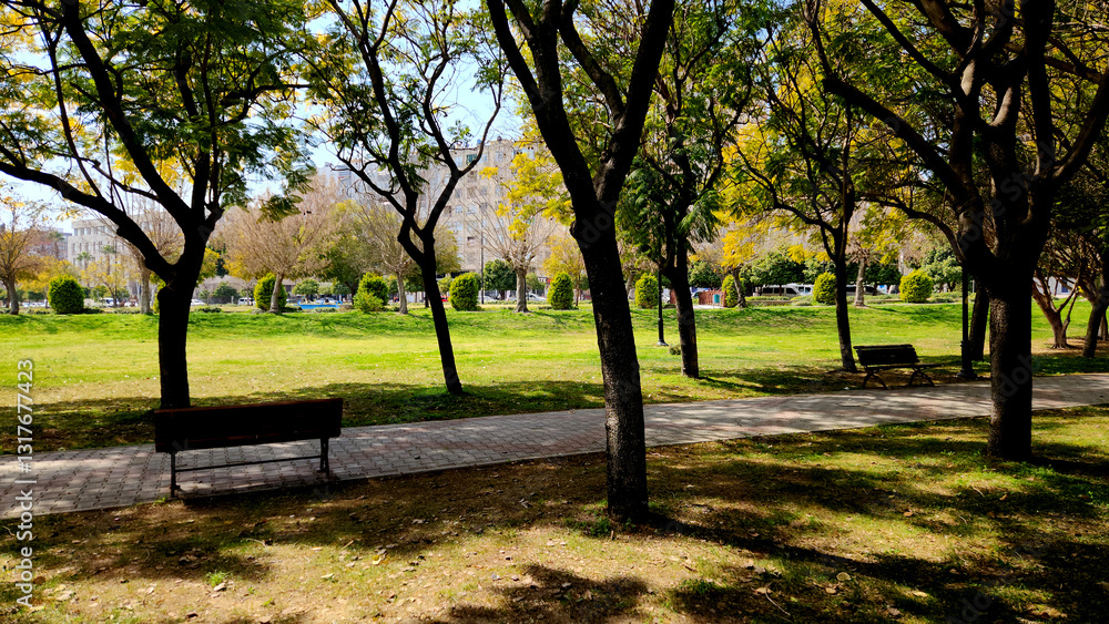Obraz premium In the Mediterranean region, which experiences hot summers, having benches under the shade of trees in parks is as essential as it is an aesthetic architectural practice.
