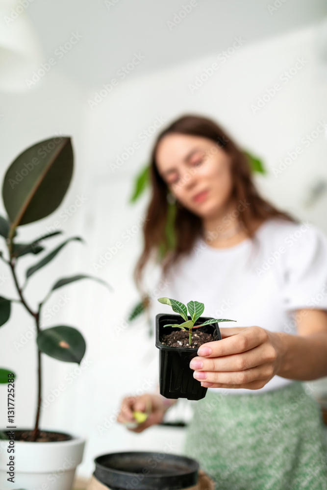 Portrait of beautiful young woman holding houseplants at home.
