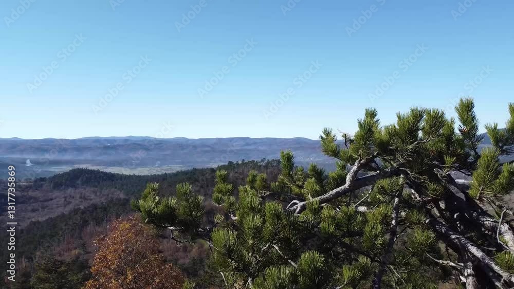 Aerial drone view from the top of the hill looking towards pivka, Narin and Neverke, Divaca in the far background with vremscica hill. Sunny autumn day. Flyby of a tree Aerial drone view from the top of the hill looking towards pivka, Narin and Neverke, Divaca in the far background with vremscica hill. Sunny autumn day. Flyby of a tree