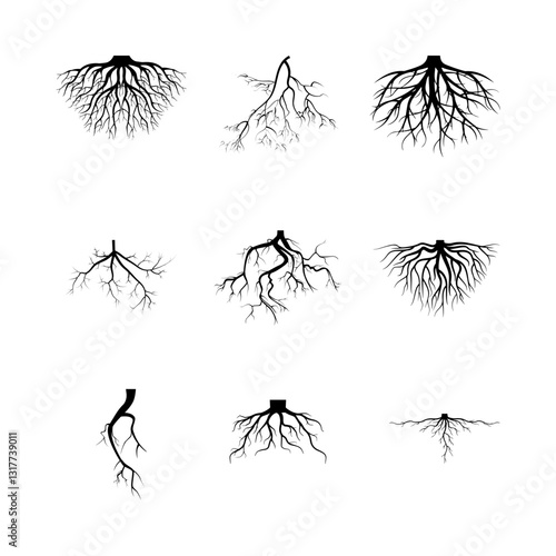 Tree roots silhouettes set. Wood growth, plant system, eco pattern, natural organic