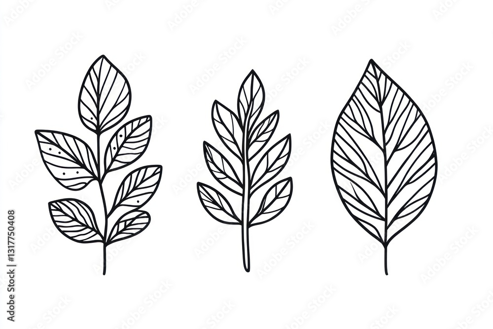 Fototapeta premium Three stylized leaves, nature design, white background, botanical illustration, design element