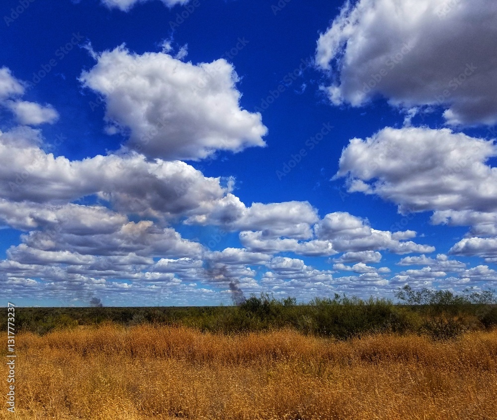 field of grass and blue sky with white clouds field of grass and blue sky with white clouds