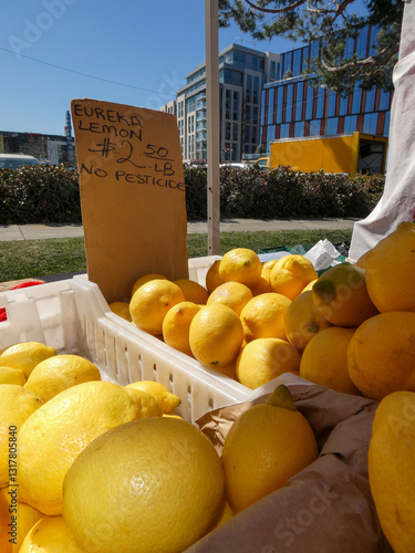 Lemon stand at Sunnyvale Farmers Market