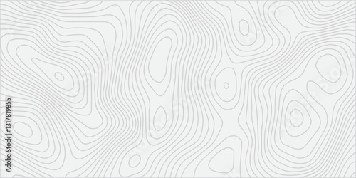 High-Precision Seamless Topographic Mapping with Elevation Details and Geographic Relief for Professional and Enthusiast Use
