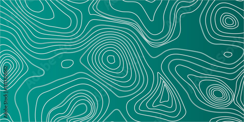 High-Precision Seamless Topographic Mapping with Elevation Details and Geographic Relief for Professional and Enthusiast Use
