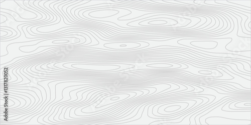 High-Precision Seamless Topographic Mapping with Elevation Details and Geographic Relief for Professional and Enthusiast Use
