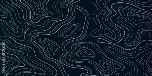 Seamless Geographic Mapping with Elevation Contours and Artistic Abstract Line Patterns for Modern Map Design

