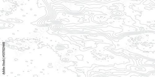  Modern Mapping Aesthetics with Smooth Abstract Contour Lines, Precise Elevation Relief, and Seamless Topographic Visualization