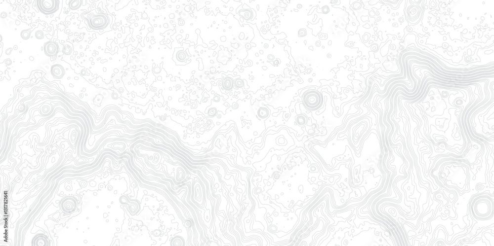 Obraz premium Modern Mapping Aesthetics with Smooth Abstract Contour Lines, Precise Elevation Relief, and Seamless Topographic Visualization