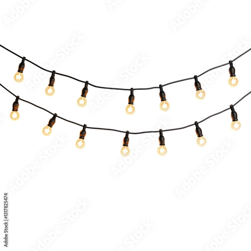 String of lights with bulbs hanging from it on transparent background