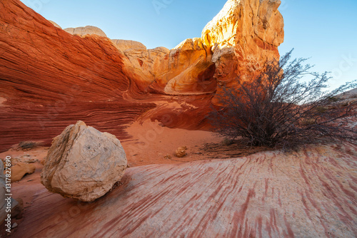 Wallpaper Mural Stunning Rock Formations and Vibrant Colors at White Pocket in the Vermilion Cliffs National Monument in Arizona USA Torontodigital.ca