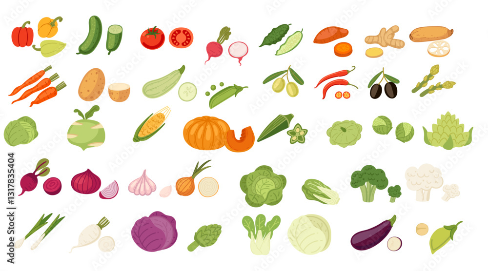 Fototapeta premium Vegetable collection. Leafy greens, root vegetables, gourds, tubers, and herbs. Fresh various vegetables. Garden products. Healthy raw vegan food with vitamins. Vector illustration isolated on white