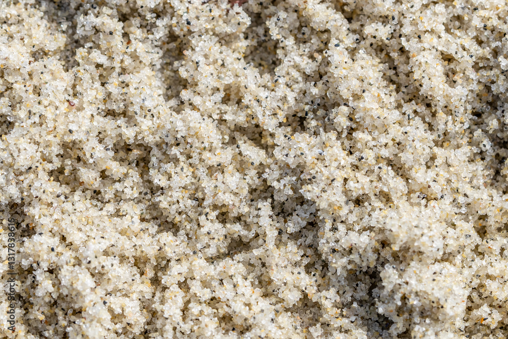 Detail of sand on the beach,La Jolla Tide Pools, San Diego, California
Detail of sand on the beach,La Jolla Tide Pools, San Diego, California