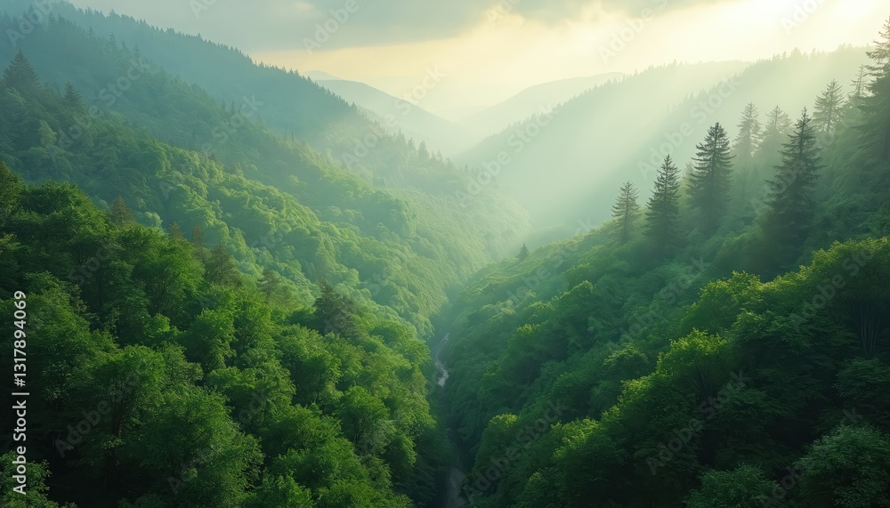 Obraz premium Calm green mountain forest aerial view. Summer woodland landscape with mountain range background in fog. Rich trees in valley hills, eco tourism and sustainable environment.