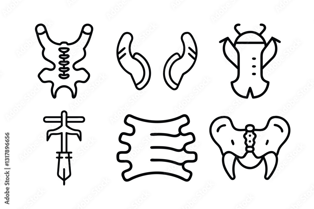 Obraz premium set of human organs