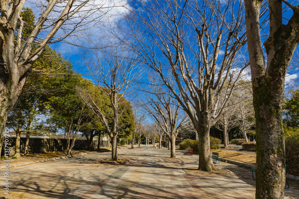Obraz premium 笠松運動公園