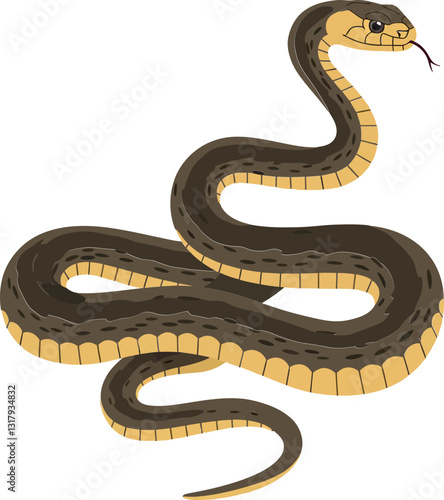 Realistic snake illustration featuring detailed scales and natural coloration in a minimalistic design style, perfect for educational and decorative vector art