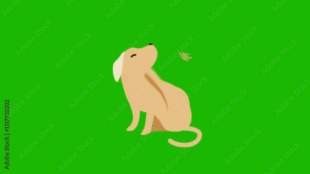 dog on green screen