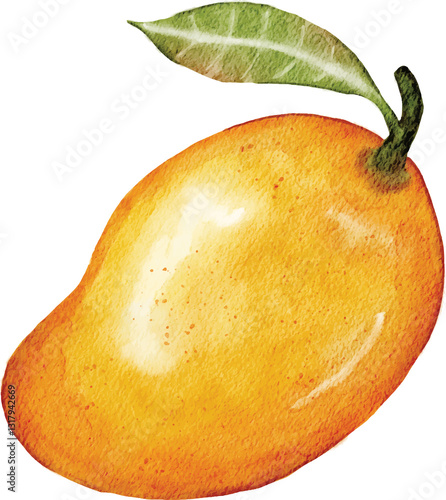 Tableau sur toile A stunning watercolor painting of a ripe golden mango with a fresh green leaf