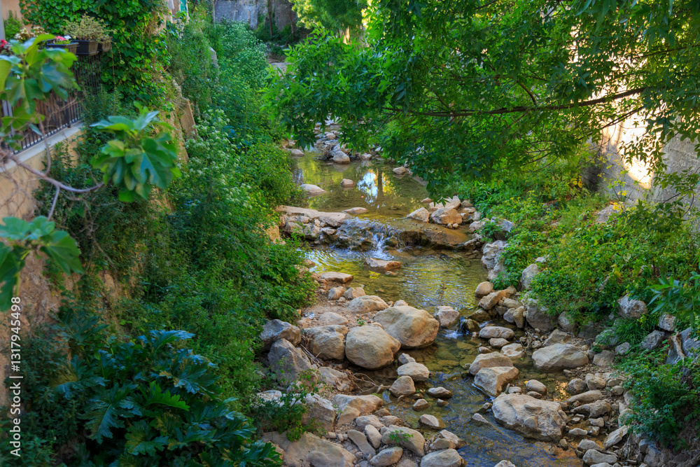 Europe, Spain, Balearic Islands, Mallorca. Esporles. Creek.