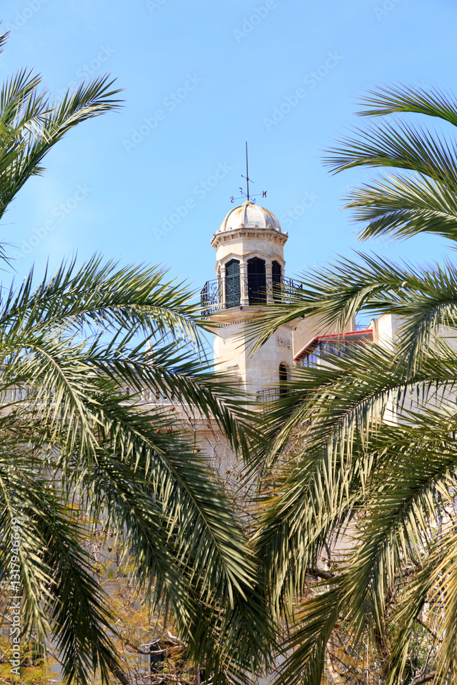Europe, Spain, Balearic Islands, Mallorca. Palm fronds.