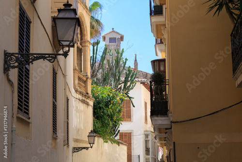 Obraz na płótnie Europe, Spain, Balearic Islands, Mallorca. Palma de Mallorca. Street lantern. w salonie