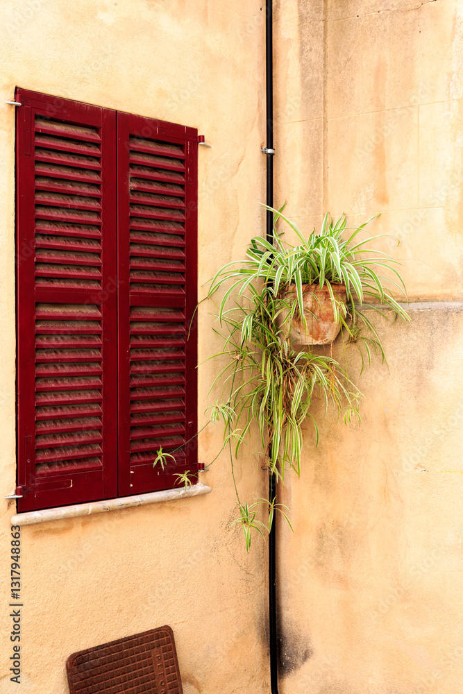 Europe, Spain, Balearic Islands, Mallorca. Corner of building with shuttered windows and hanging plant.