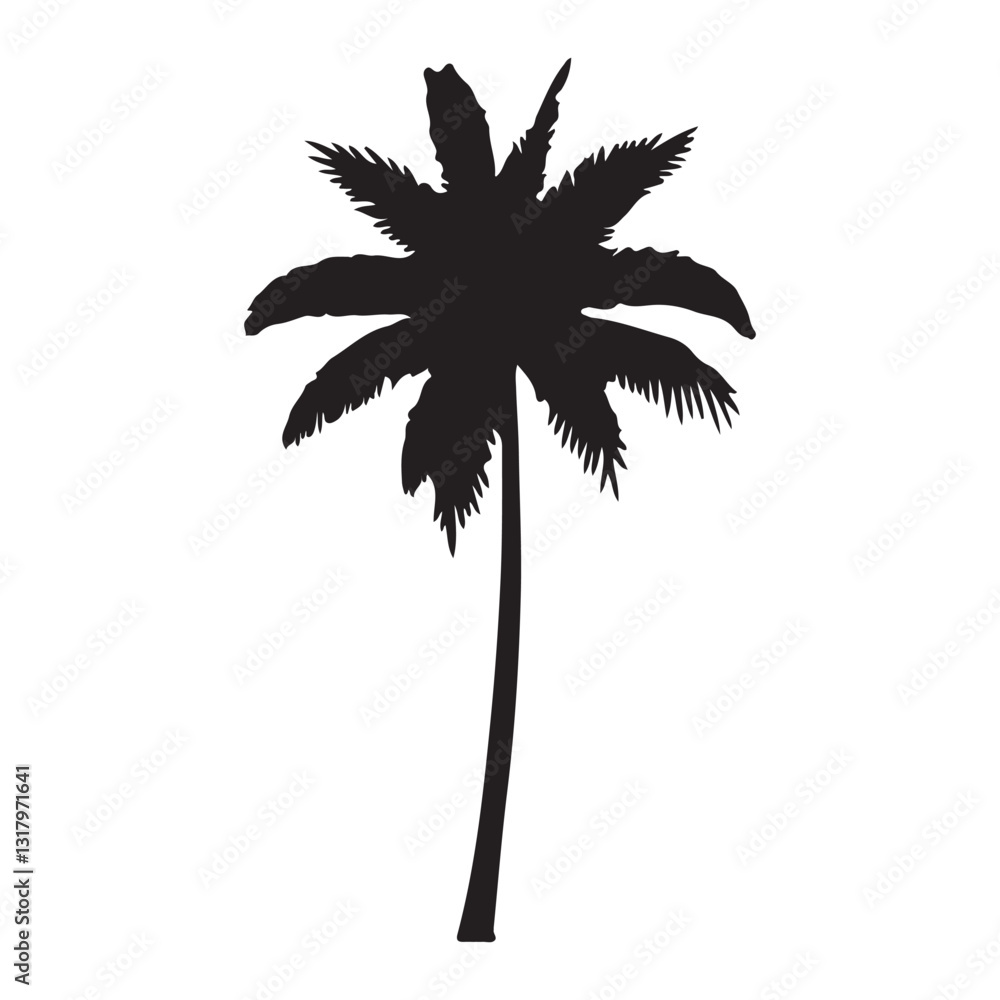 Obraz premium coconut tree silhouette