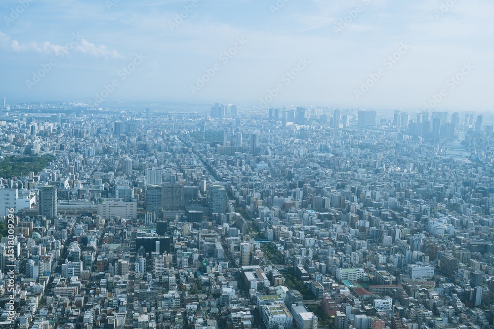 Tokyo city skyline and panoramic view from Tokyo Observatory, Japan, photographed in summer Tokyo city skyline and panoramic view from Tokyo Observatory, Japan, photographed in summer