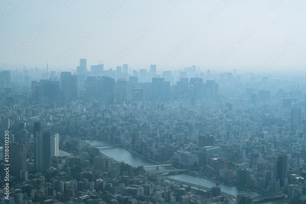 Fototapeta premium Tokyo city skyline and panoramic view from Tokyo Observatory, Japan, photographed in summer