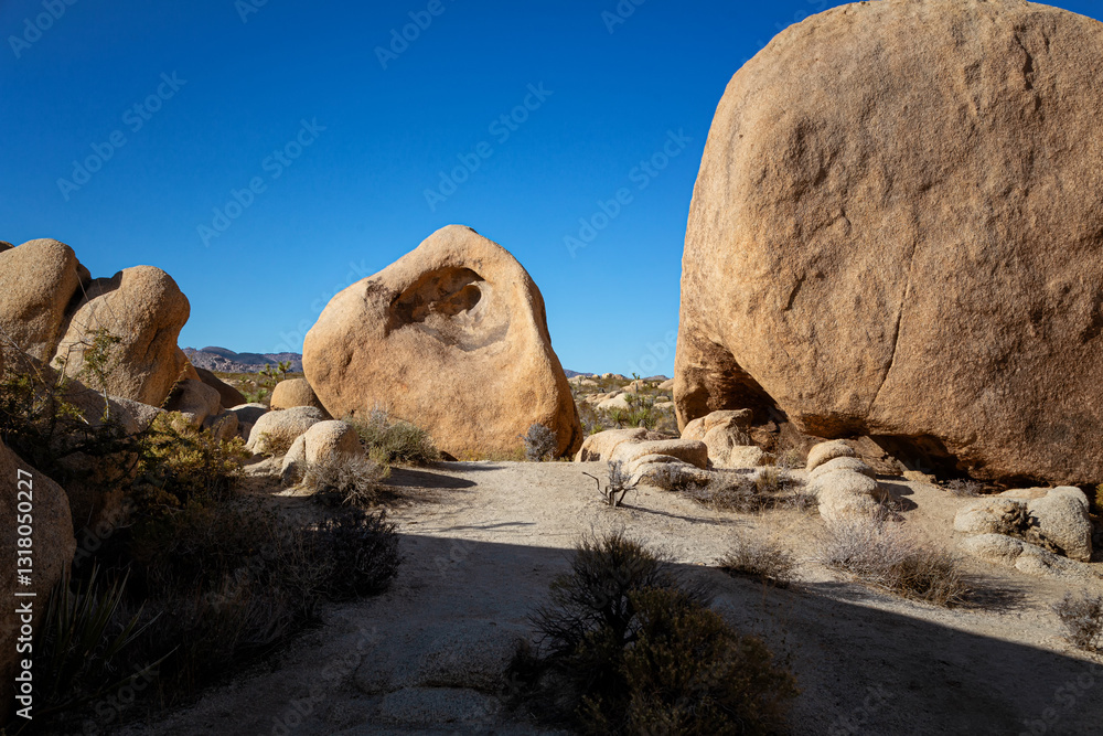 Joshua Tree National Park, California