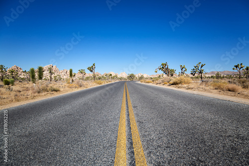 Joshua Tree National Park, California