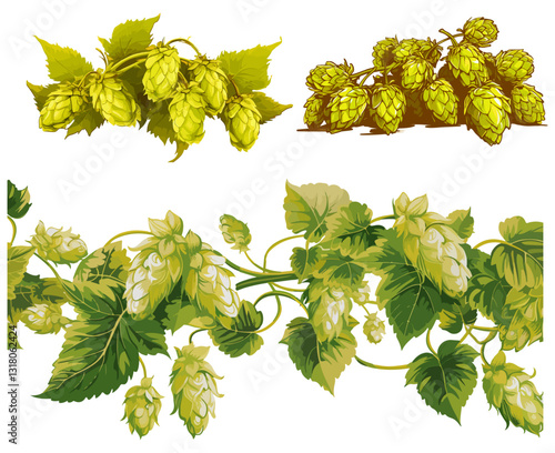 Hops Harvest: A detailed illustration showcases lush, green hops in various stages of growth, essential ingredients for brewing beer.