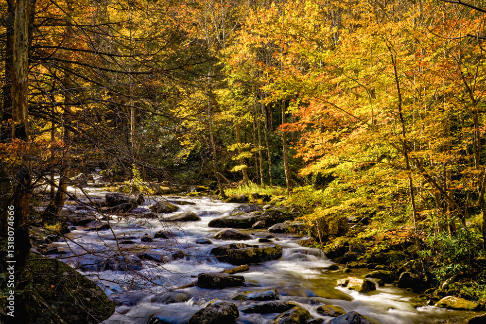 Autumn, Tremont, Great Smoky Mountains National Park Autumn, Tremont, Great Smoky Mountains National Park