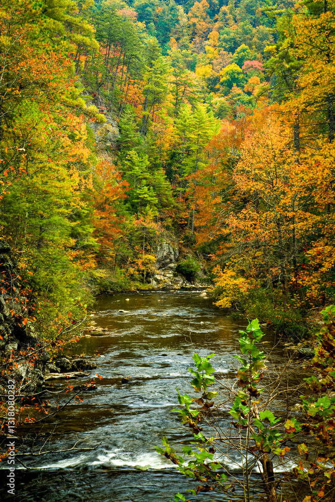 Autumn, Citico Creek,Cherokee National Forest Autumn, Citico Creek,Cherokee National Forest