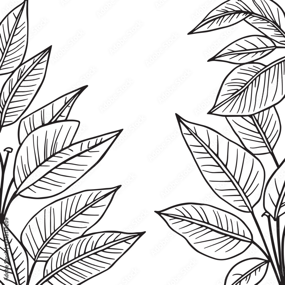 colour and line art Pattern tropical leaves with white solid background colour and line art Pattern tropical leaves with white solid background