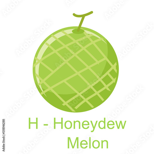 Flat illustration alphabet H for honeydew Melon, learning for kids