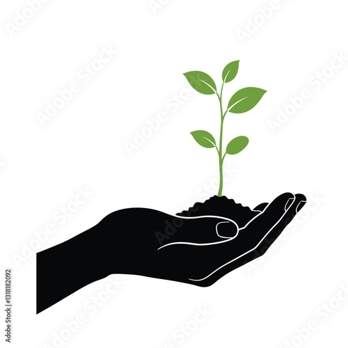 hand holding plant