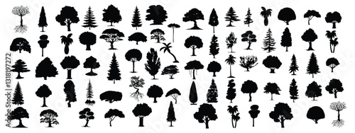 various deciduous trees silhouettes on the white background