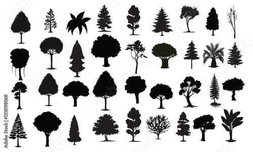 Silhouettes Trees Set, Pine Tree fir price cedar white patch alder elm birch ash cypress beech palm tree.