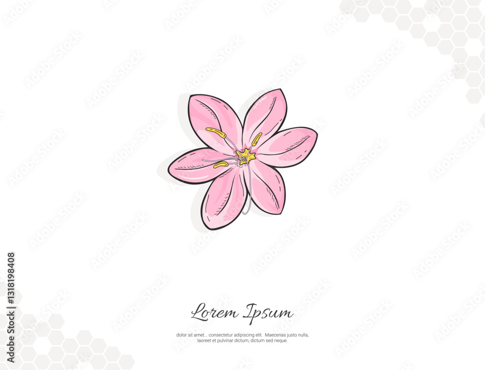 River Lily flower vector art for wall decoration River Lily flower vector art for wall decoration